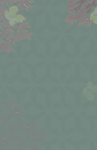 TENSCIENCE_FACE_AGESTELLAR